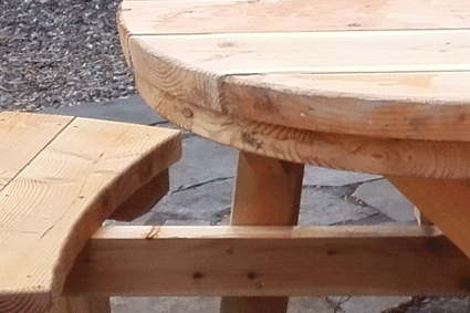 Picnic Bench